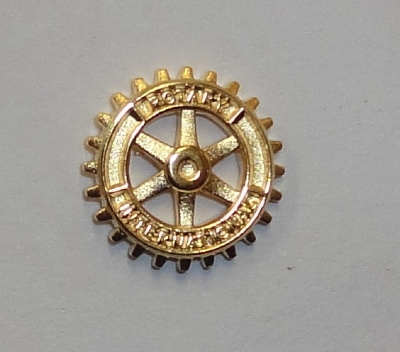 Producto Pin Rotary Dorado